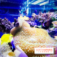 Bio-inspirée, la nouvelle expo permanente à la Cité des Sciences et de l'Industrie