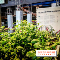 Bio-inspirée, la nouvelle expo permanente à la Cité des Sciences et de l'Industrie