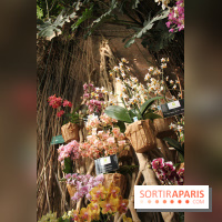Exposition Mille & une orchidées au Jardin des Plantes