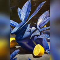 Street Art à Versailles, Réenchanter la ville de Quai 36