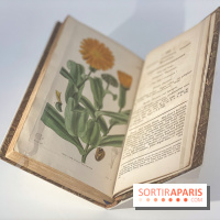 La beauté se cultive, Chanel au Jardin des Plantes