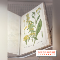 La beauté se cultive, Chanel au Jardin des Plantes