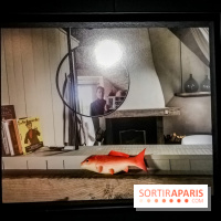 Mythologies du poisson rouge, l'exposition de l'Appart Renoma, nos photos