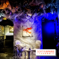 Mythologies du poisson rouge, l'exposition de l'Appart Renoma, nos photos