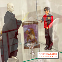 Les vitrines avec des figurines de la saga