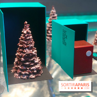 Patrick Roger - Noël 2020