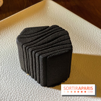 La Bûche de Noël Tison du Prince de Galles Paris par Tristan Rousselot