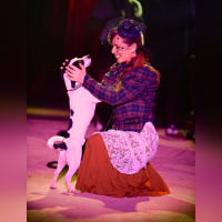 Voyage dans le temps, le spectacle du Cirque Bormann