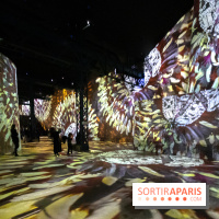 Photos : Exposition immersive Jimmy Nelson : The last sentinels à l’Atelier des Lumières 