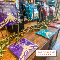 Photos : Bûches et créations de Noël 2020 chez Mariage Frères