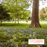 Visuel Paris Parc Monceau