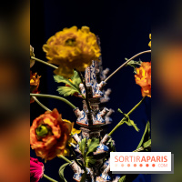 Exposition Luxes au Musée des Arts Décoratifs