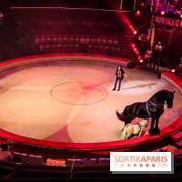 Dingue du Cirque Bouglione au Cirque d'Hiver