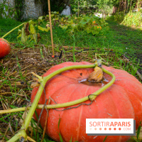 Le Domaine de la Corniche