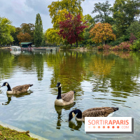 Visuel Paris, Lac Daumesnil bois de Vincennes
