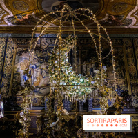 Photos : Vaux-le-vicomte en Lumières lune