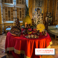 Photos : Vaux-le-vicomte en Lumières cacao