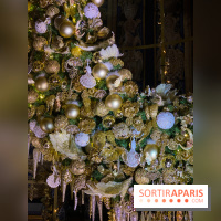 Photos : Vaux-le-vicomte en Lumières