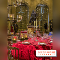 Photos : Vaux-le-vicomte en Lumières