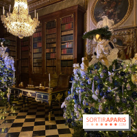 Photos : Vaux-le-vicomte en Lumières robes