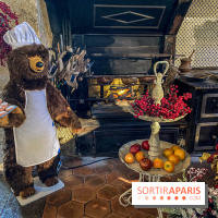 Photos : Vaux-le-vicomte en Lumières