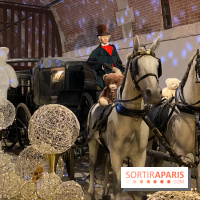 Photos : Vaux-le-vicomte en Lumières