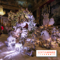 Photos : Vaux-le-vicomte en Lumières