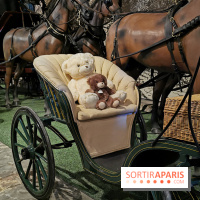 Photos : Vaux-le-vicomte en Lumières