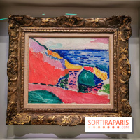 Matisse, comme un roman : nos photos de l'exposition du Centre Pompidou