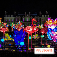 Photos : Thoiry Lumières Sauvages 2020-2021