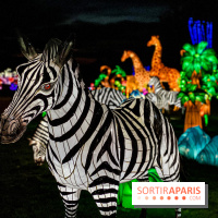 Photos : Thoiry Lumières Sauvages 2020-2021