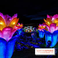 Photos : Thoiry Lumières Sauvages 2020-2021