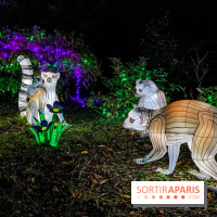 Photos : Thoiry Lumières Sauvages 2020-2021