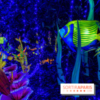 Photos : Thoiry Lumières Sauvages 2020-2021