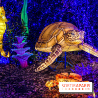 Photos : Thoiry Lumières Sauvages 2020