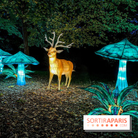 Photos : Thoiry Lumières Sauvages 2020