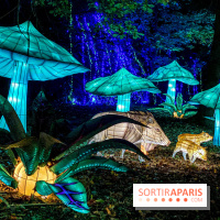 Photos : Thoiry Lumières Sauvages 2020