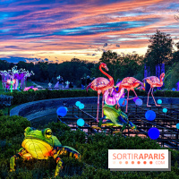 Photos : Thoiry Lumières Sauvages 2020-2021