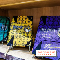 Boutique Wizarding World Harry Potter au Village JouéClub