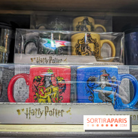Boutique Wizarding World Harry Potter au Village JouéClub