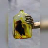 Exposition Anticorps au Palais de Tokyo