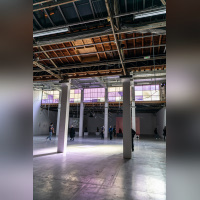 Exposition Anticorps au Palais de Tokyo