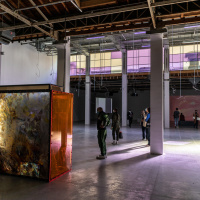 Exposition Anticorps au Palais de Tokyo