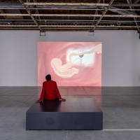 Exposition Anticorps au Palais de Tokyo