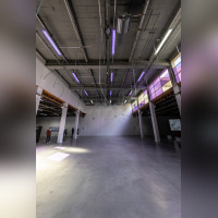 Exposition Anticorps au Palais de Tokyo