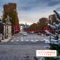 Photos : Illuminations et sapins de Noël Place de la Concorde