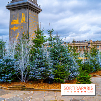 Photos : Illuminations et sapins de Noël Place de la Concorde