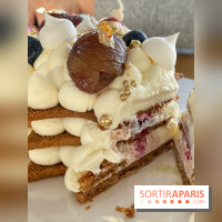 Photos : Mon beau sapin, la Buche de Noël 2020 chez Candy Paradis