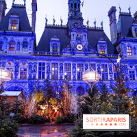 Photos : Village et illuminations de Noël de l'Hôtel de Ville 2020