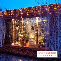 Photos : Village et illuminations de Noël de l'Hôtel de Ville 2020